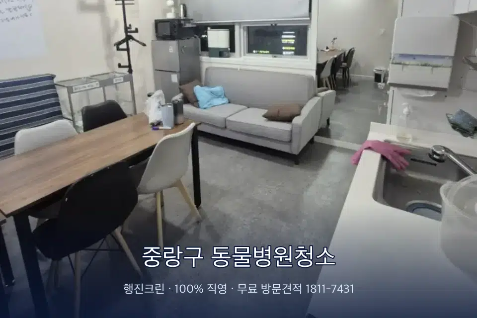 중랑구 동물병원청소 병원 휴게 공간 의자 소독
