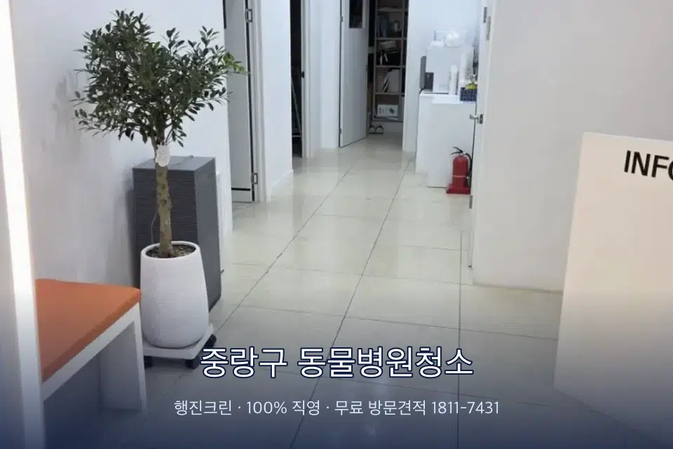 중랑구 동물병원청소 병원 로비 바닥 광택 작업